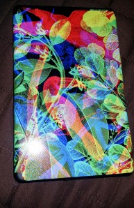 My Kindle Fire has a name--Griot.