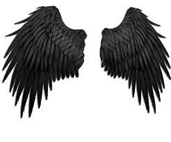 wings