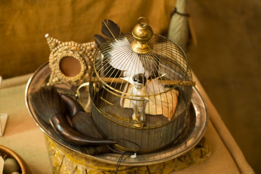 Photo by Benjamin Carver